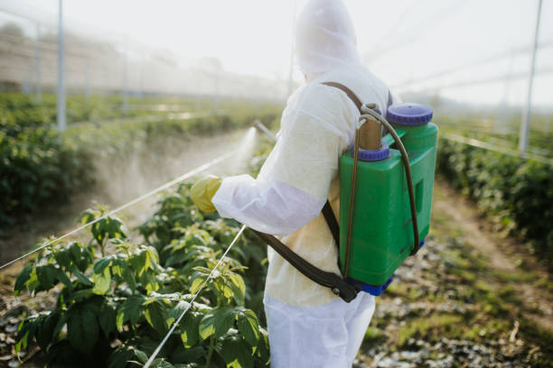 Insect Control in Ionia, MI